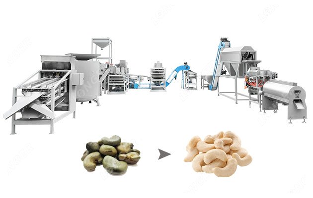 500 KG Raw Cashew Nut Processing Machine Supplier in China