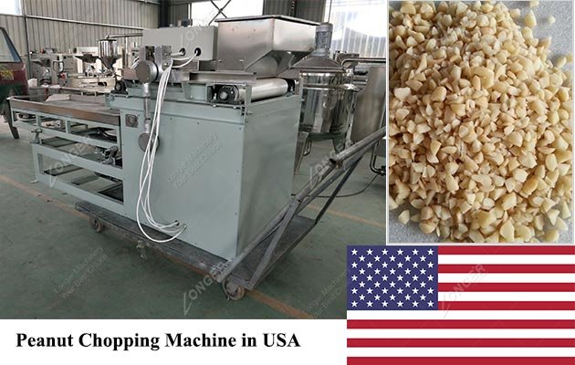 Stainless Steel Peanut Chopping Machine in USA