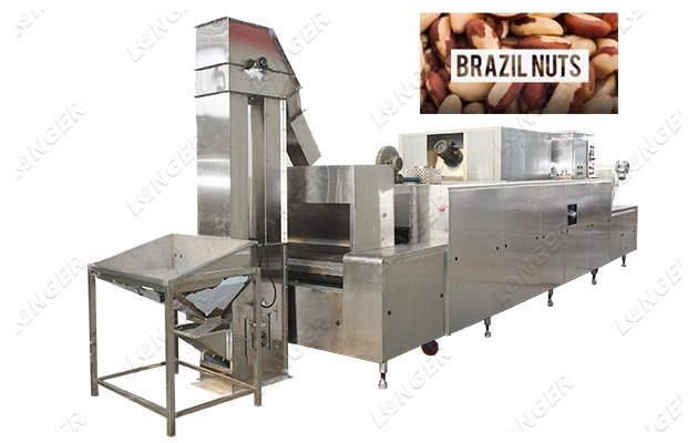 Industrial Brazil Nut Roasting Machine Cost
